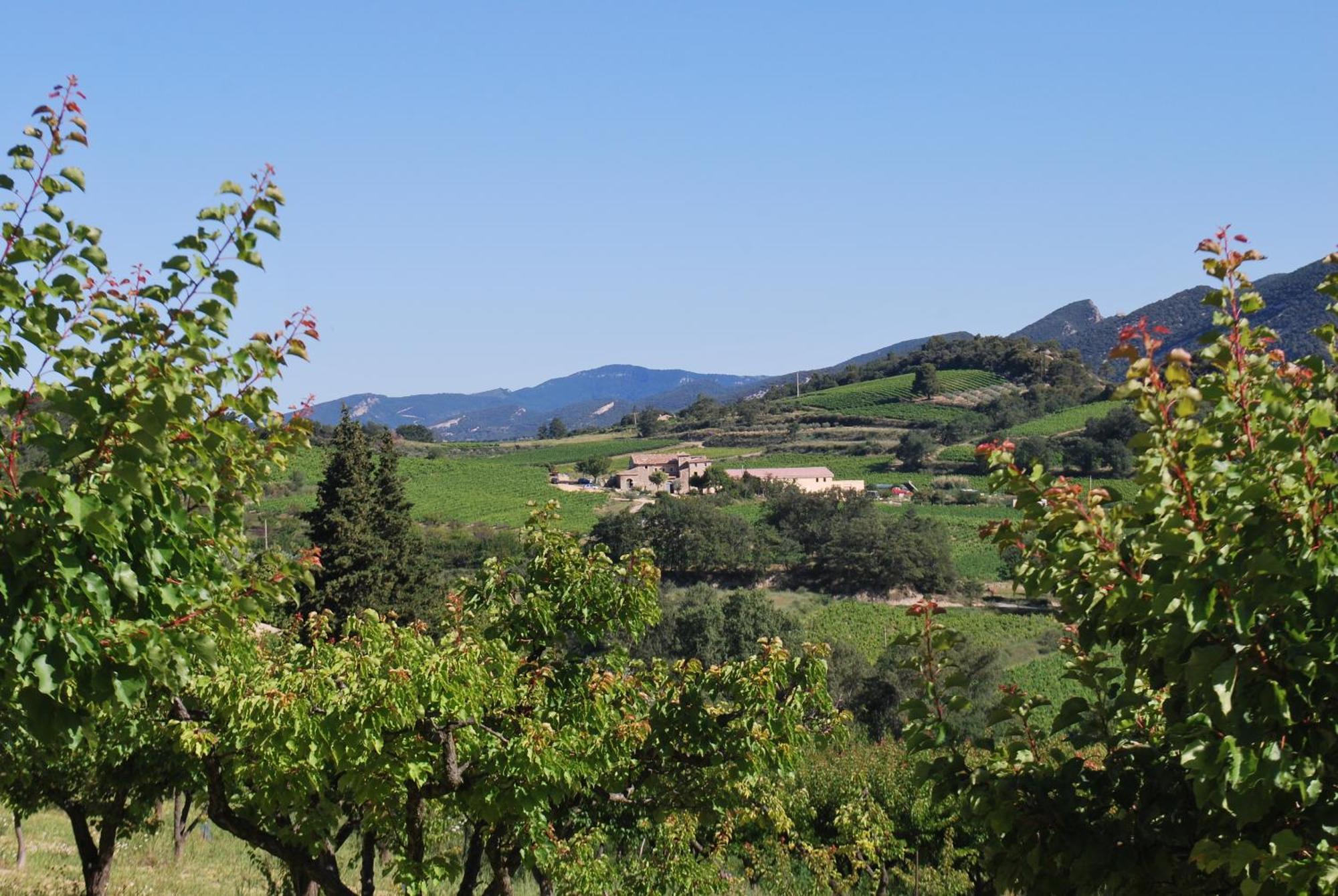 Domaine de Provensol Venterol (Drome) Exterior foto