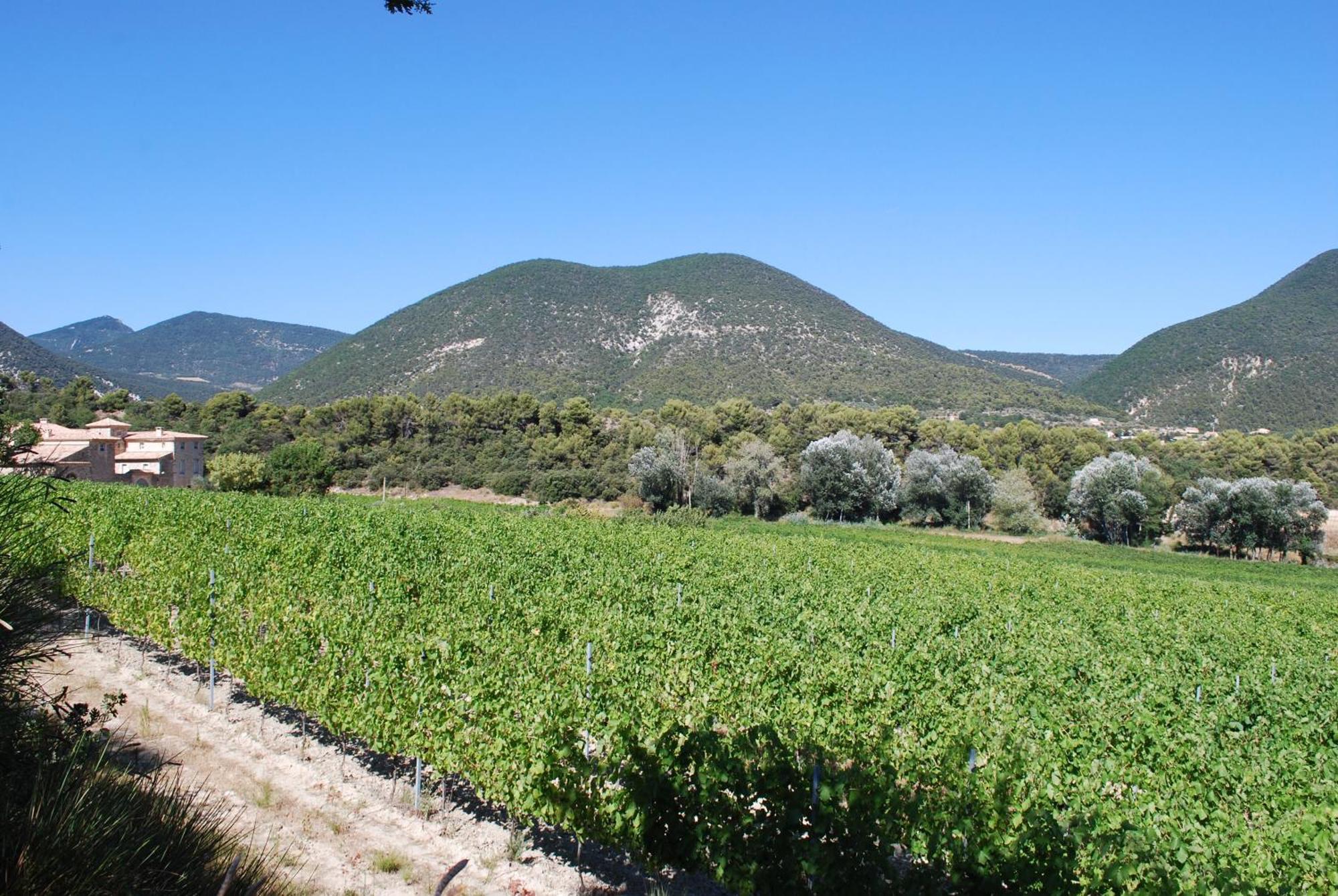 Domaine de Provensol Venterol (Drome) Exterior foto