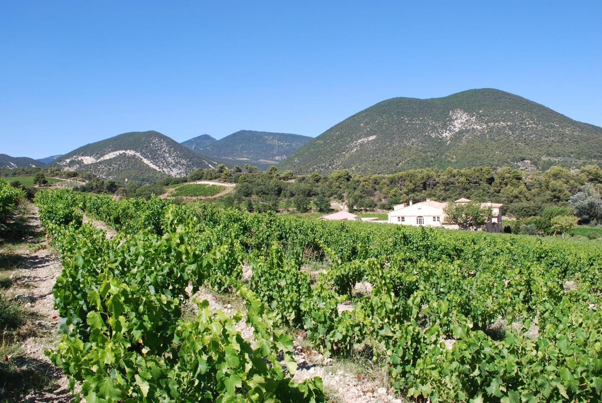 Domaine de Provensol Venterol (Drome) Exterior foto