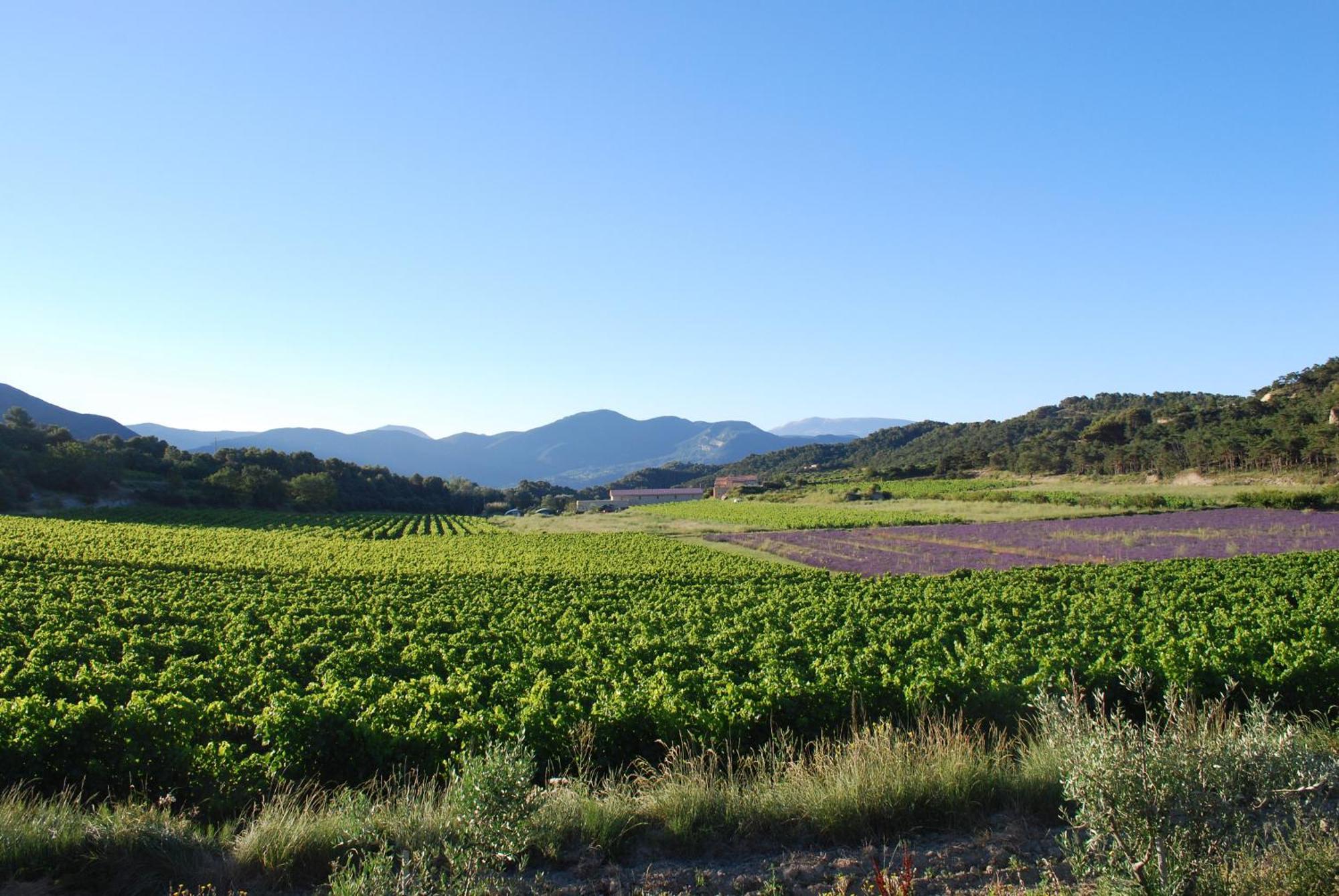 Domaine de Provensol Venterol (Drome) Exterior foto